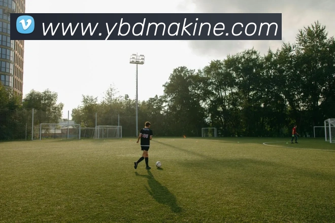 mksports体育APP 封面图